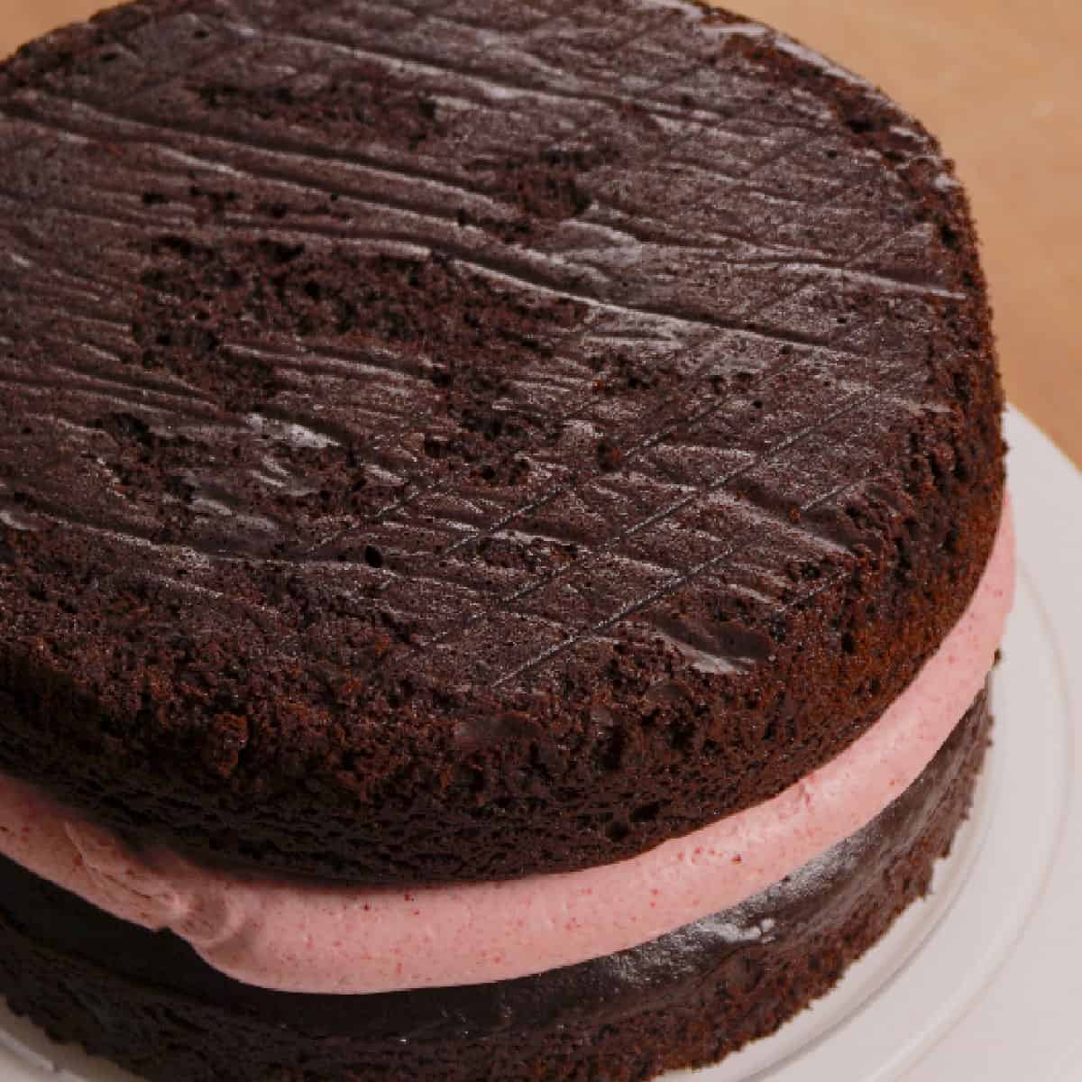two chocolate cake layers sandwiched with a ring of raspberry buttercream